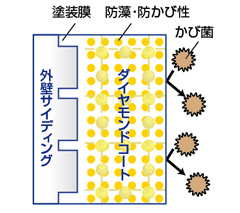 藻やカビの発生を抑制する